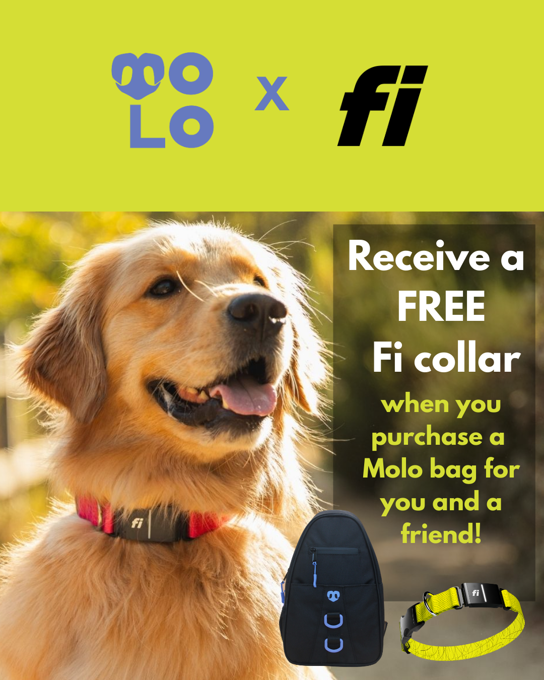 Molo Dog Walking Bag