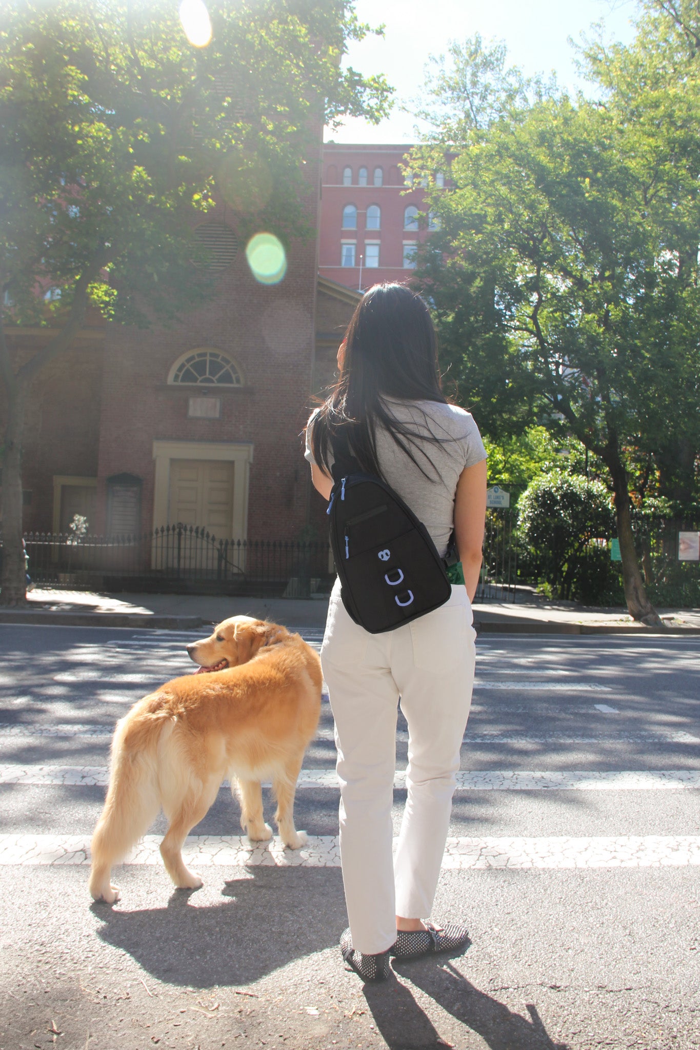 Molo Dog Walking Bag