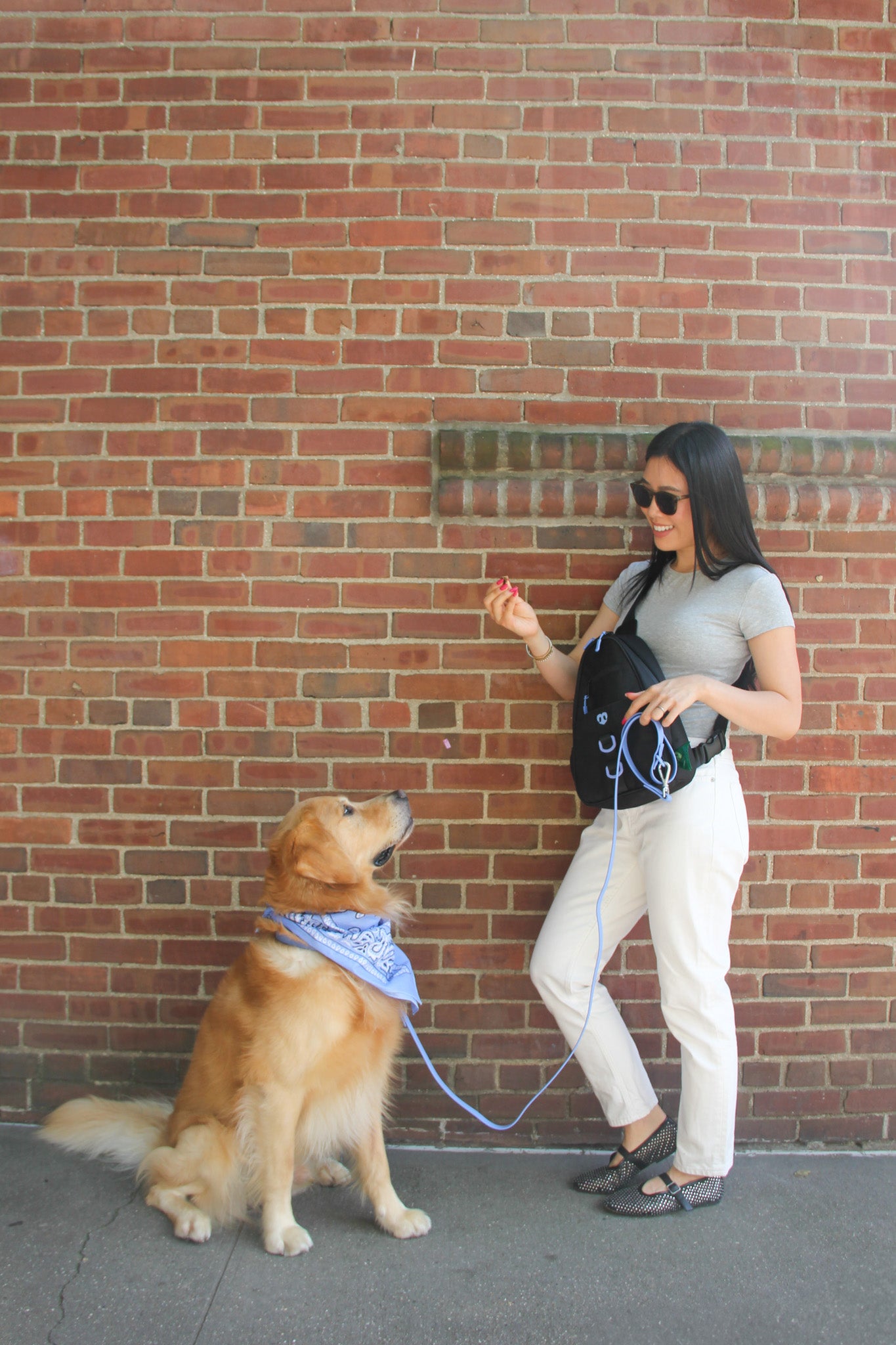 Molo Dog Walking Bag