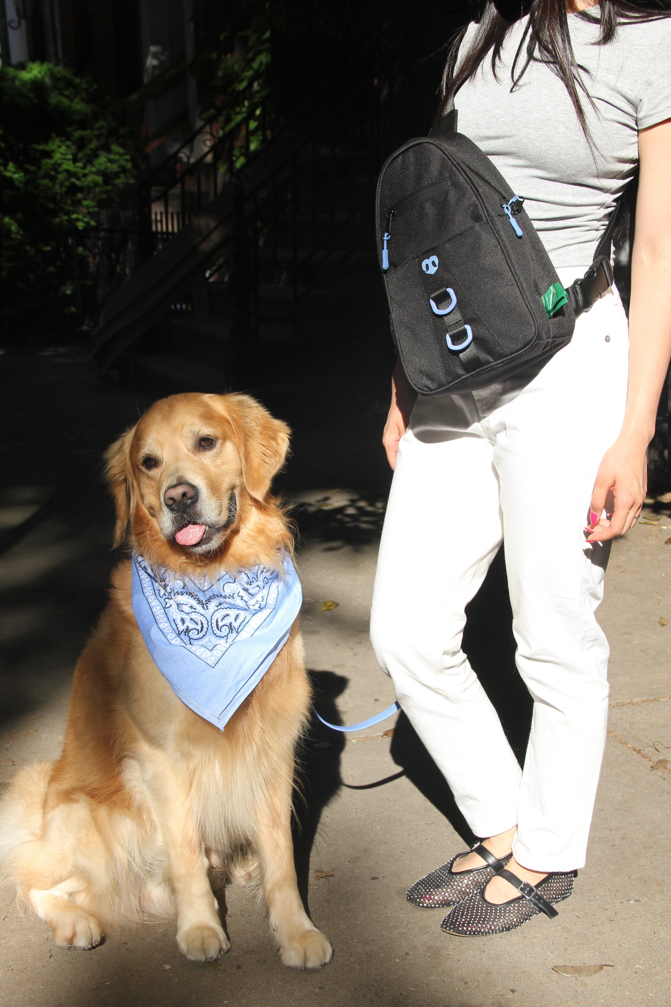 Molo Dog Walking Bag