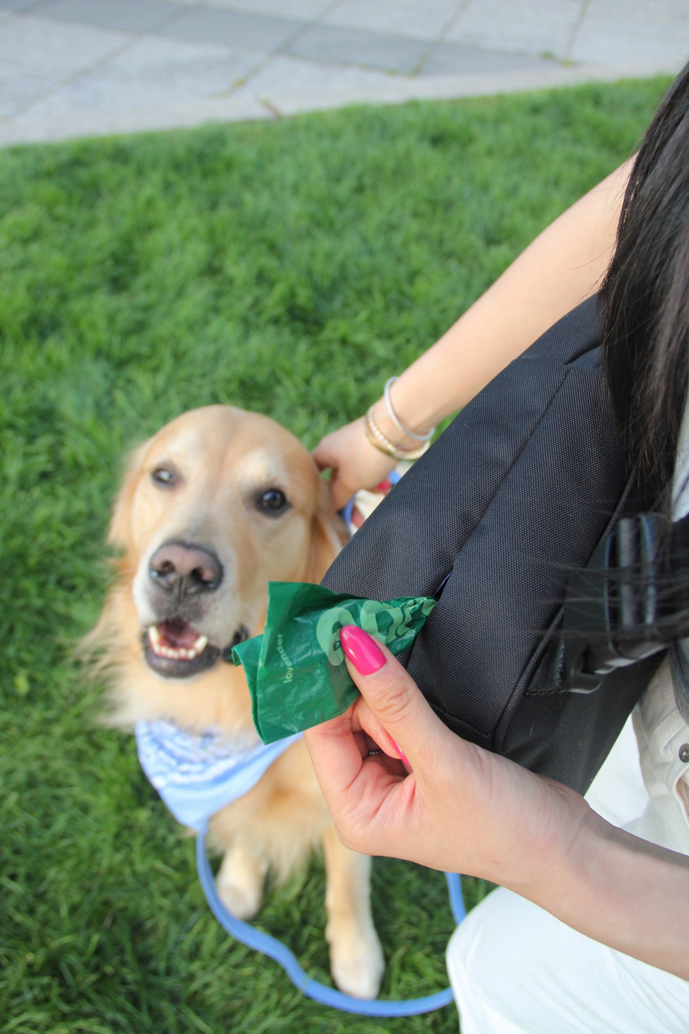 Molo Dog Walking Bag
