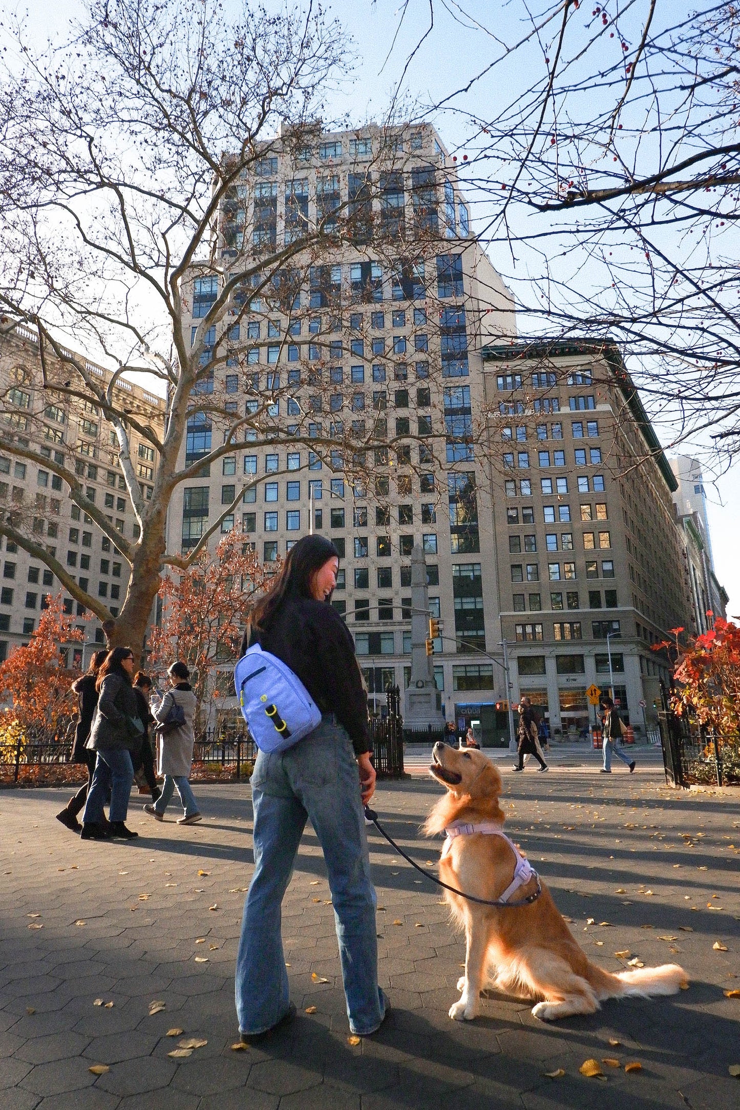 Molo Dog Walking Bag