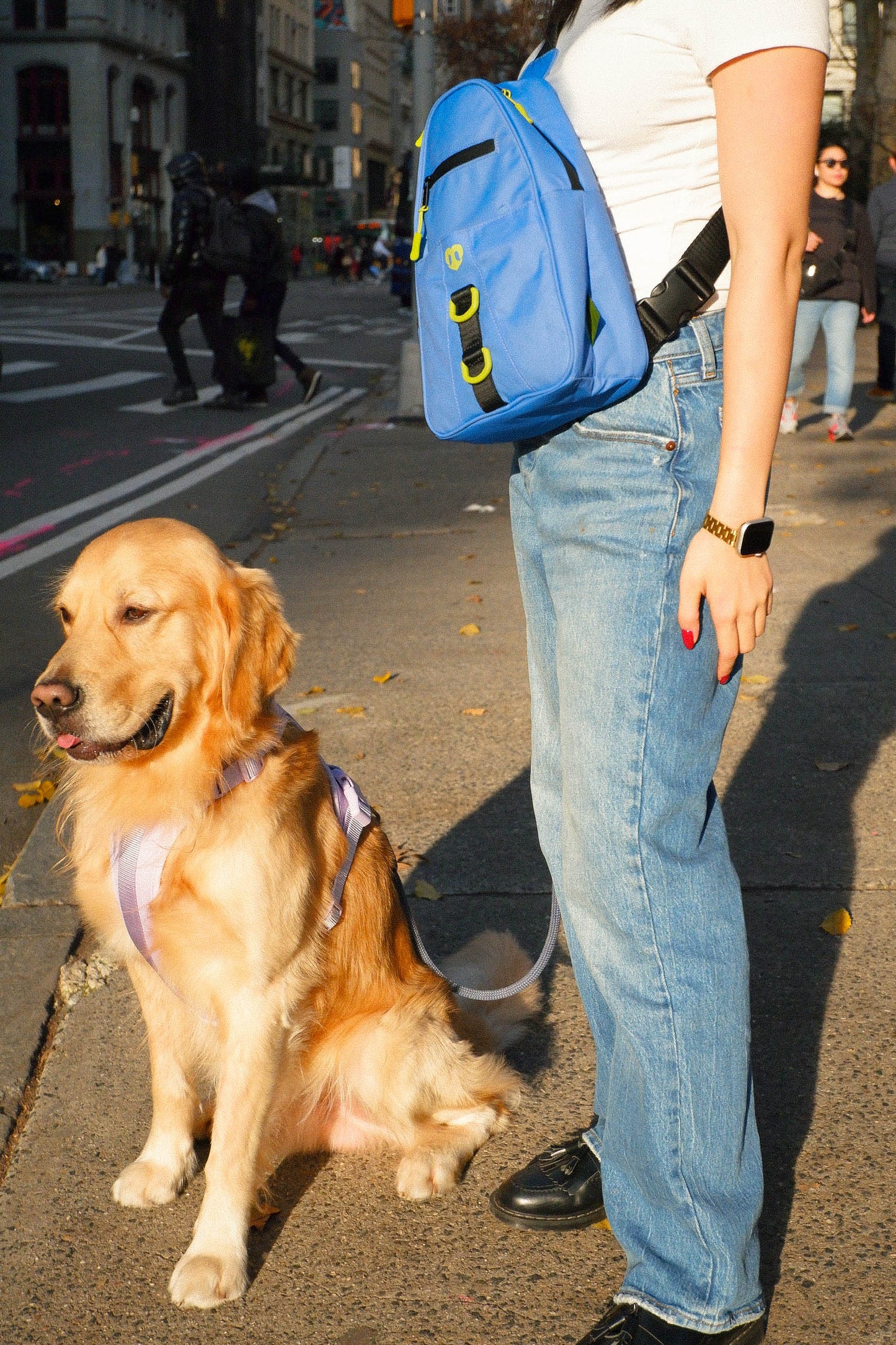 Molo Dog Walking Bag