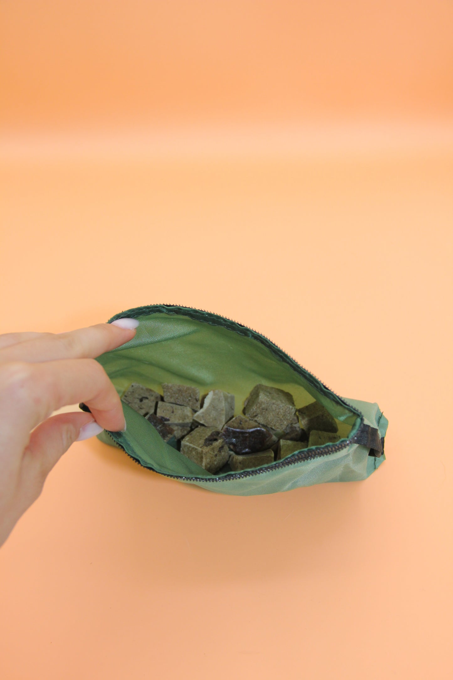 Treat Pouch Liner
